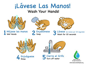 Wash Your Hands-Bilingual